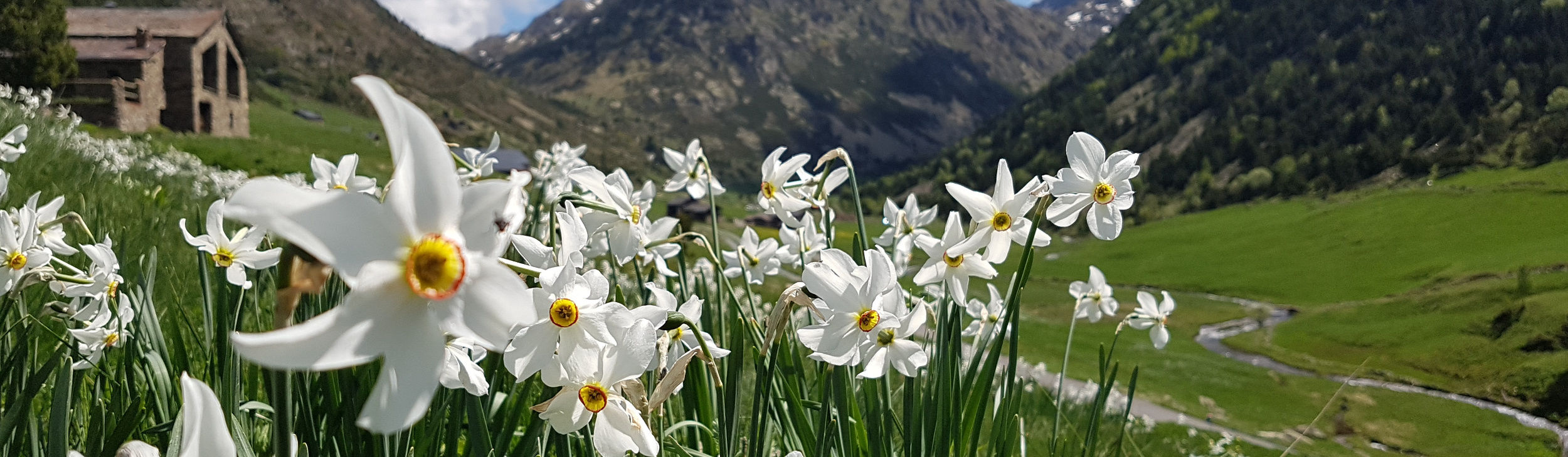 Offers and trips to Andorra - Spring - Summer 2024