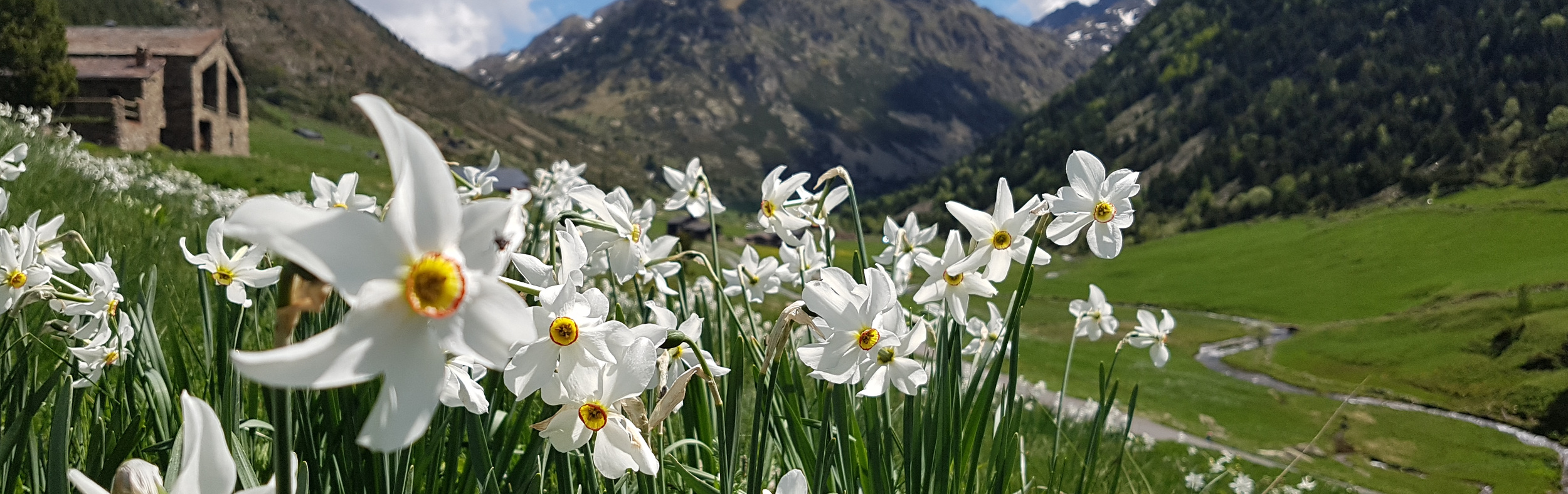 ¡Ya es primavera! - Descubra todas las actividades
