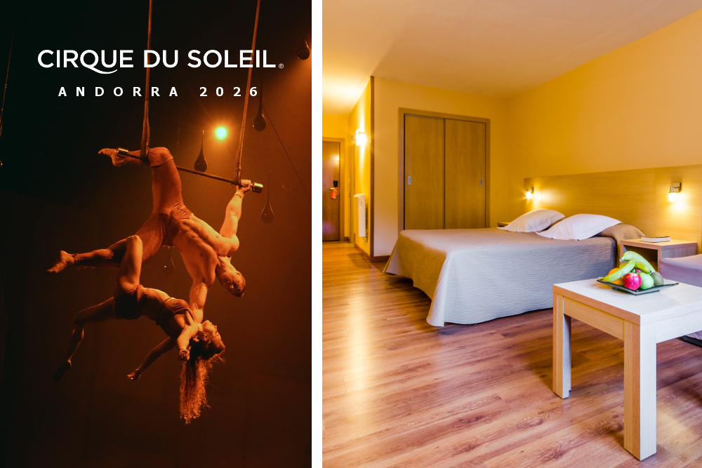 Cirque Du Soleil Cirque Du Soleil + Hotel Panorama **** (1 Night)