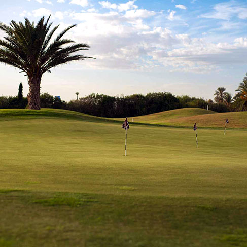 Morgado är relativt lätt att gå