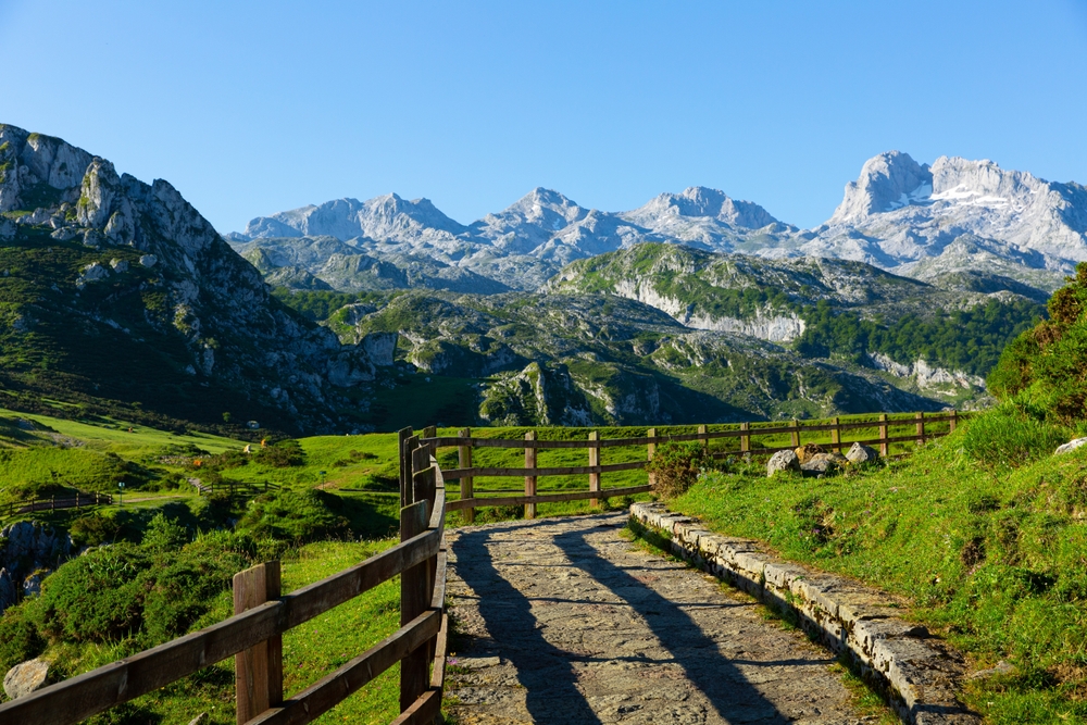 Picos de Europa con visita a Potes