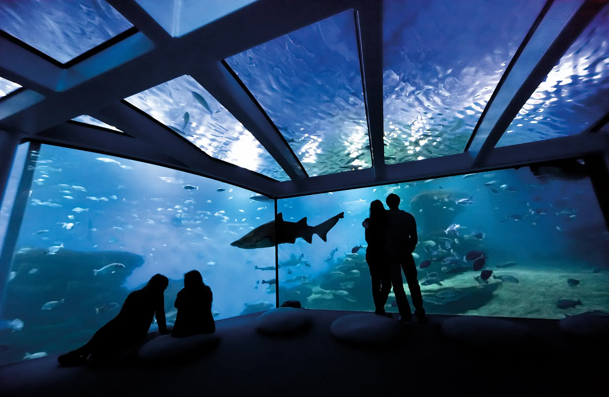 Palma Aquarium