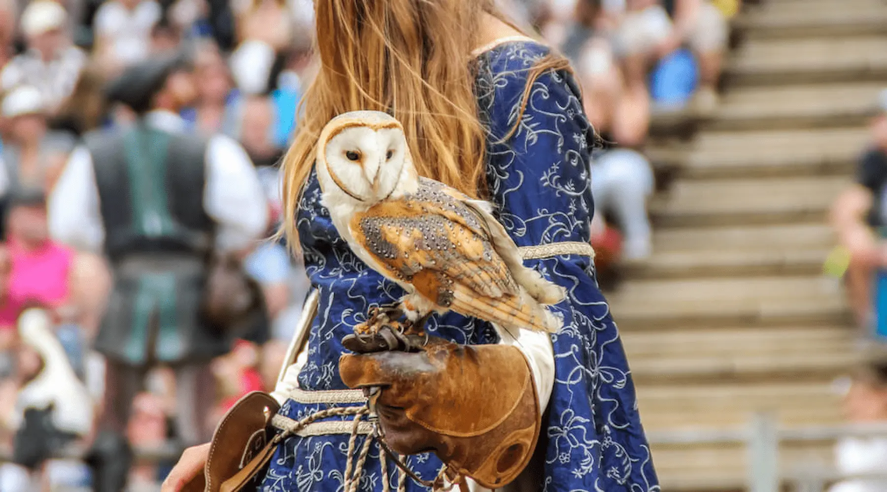 Puy du Fou entradas parque