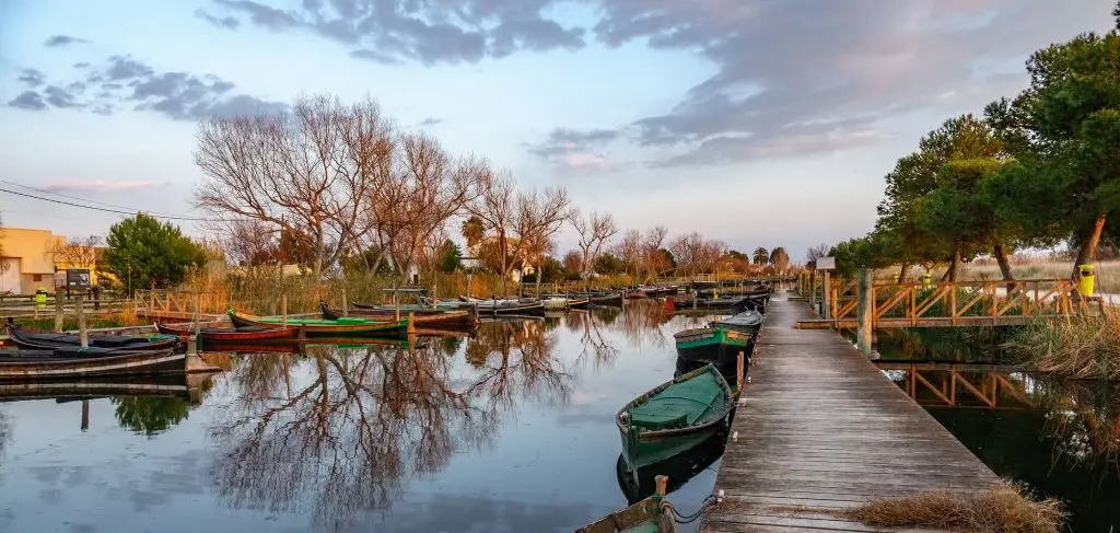 Paseo en barca por la Albufera + comida