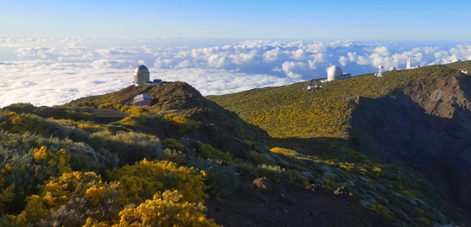 Un Viaje hacia Las Estrellas en la Palma