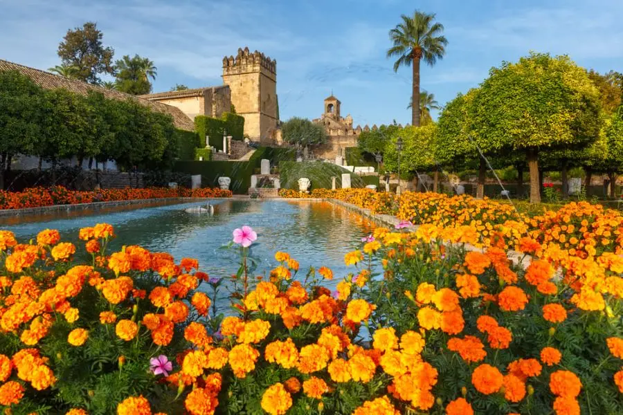 Visita de la Mezquita de Córdoba y la Judería