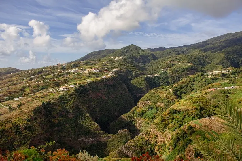 Excursión a La Palma Botánica