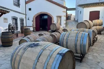 Excursión a una bodega con degustación de vinos desde Barcelona