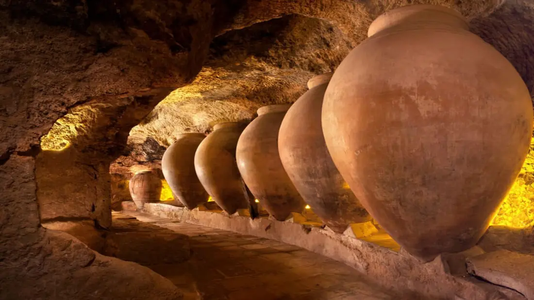 Excursión a las bodegas y cuevas de Requena