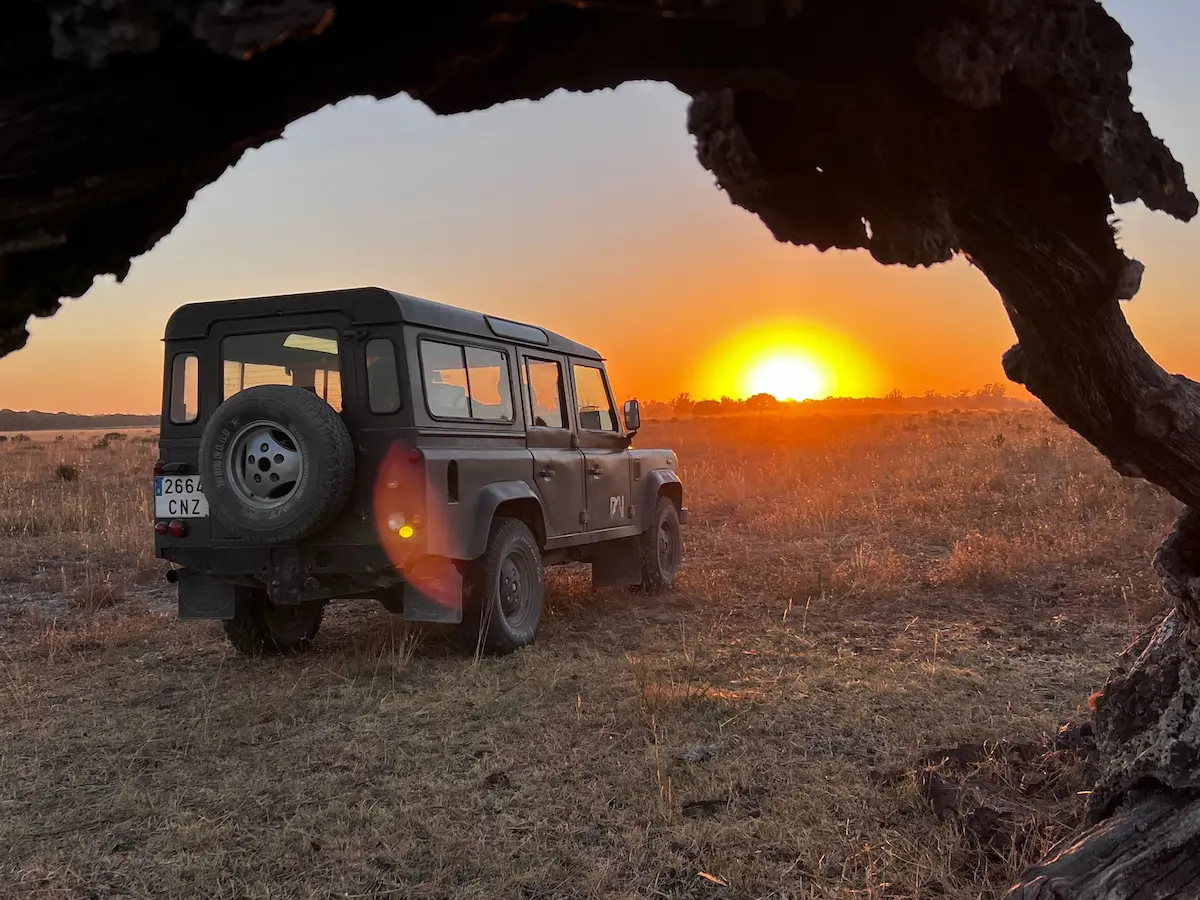 Visita guiada Privada a Doñana