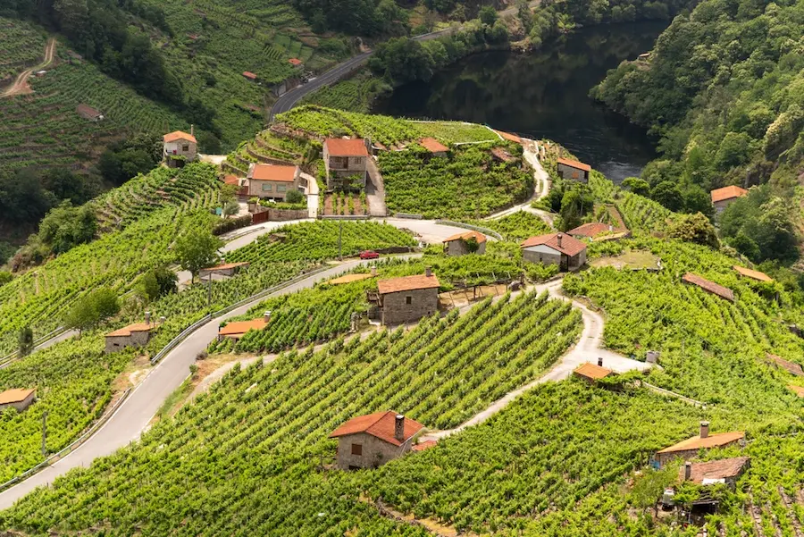 Excursión a Ribeira Sacra desde Santiago de Compostela