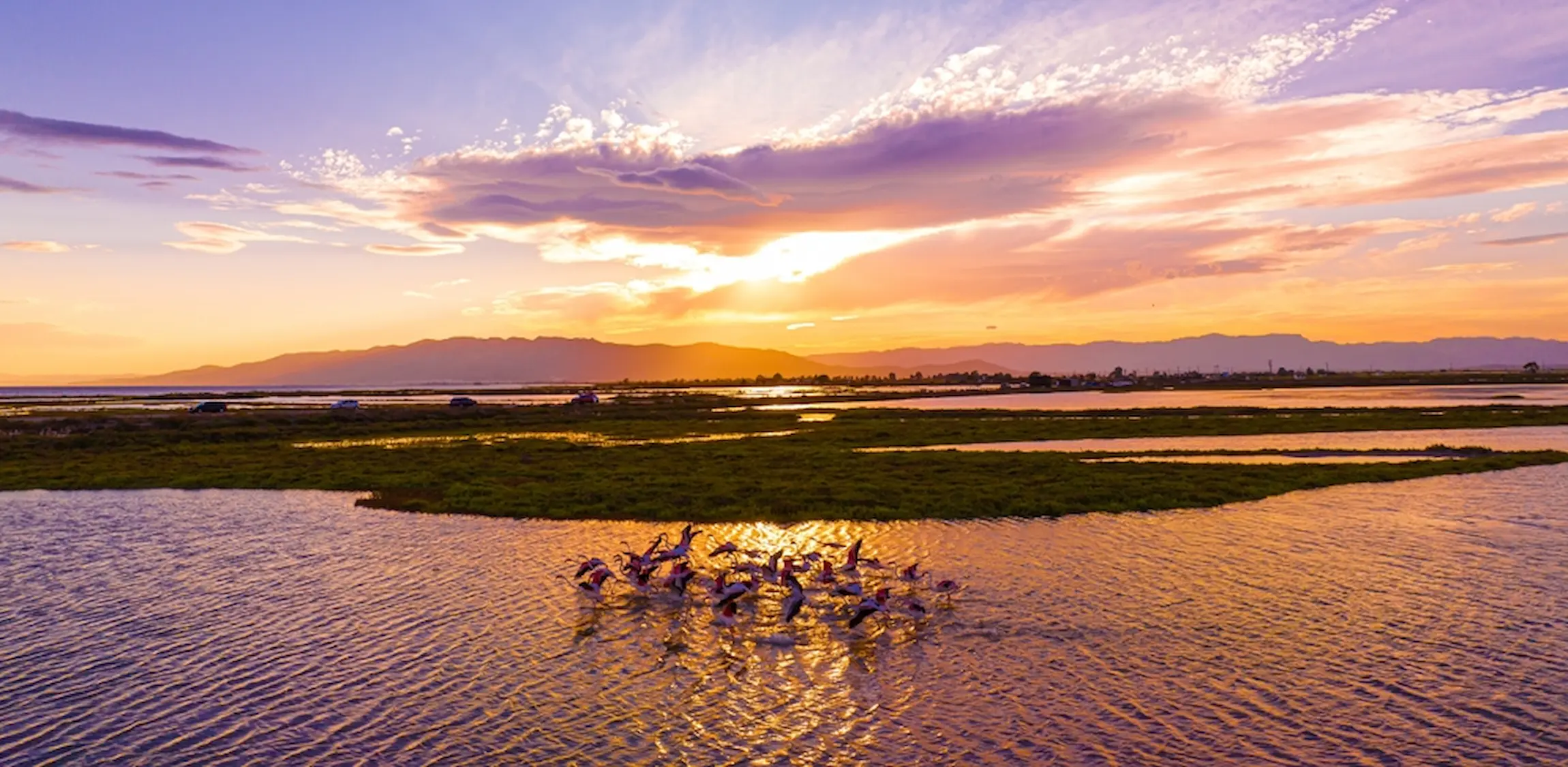 Visita guiada por el Delta del Ebro