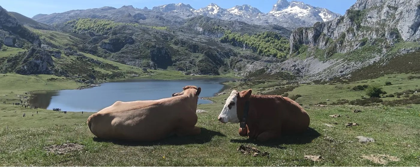 Excursión a los Lagos de Covadonga desde Cangas de Onís