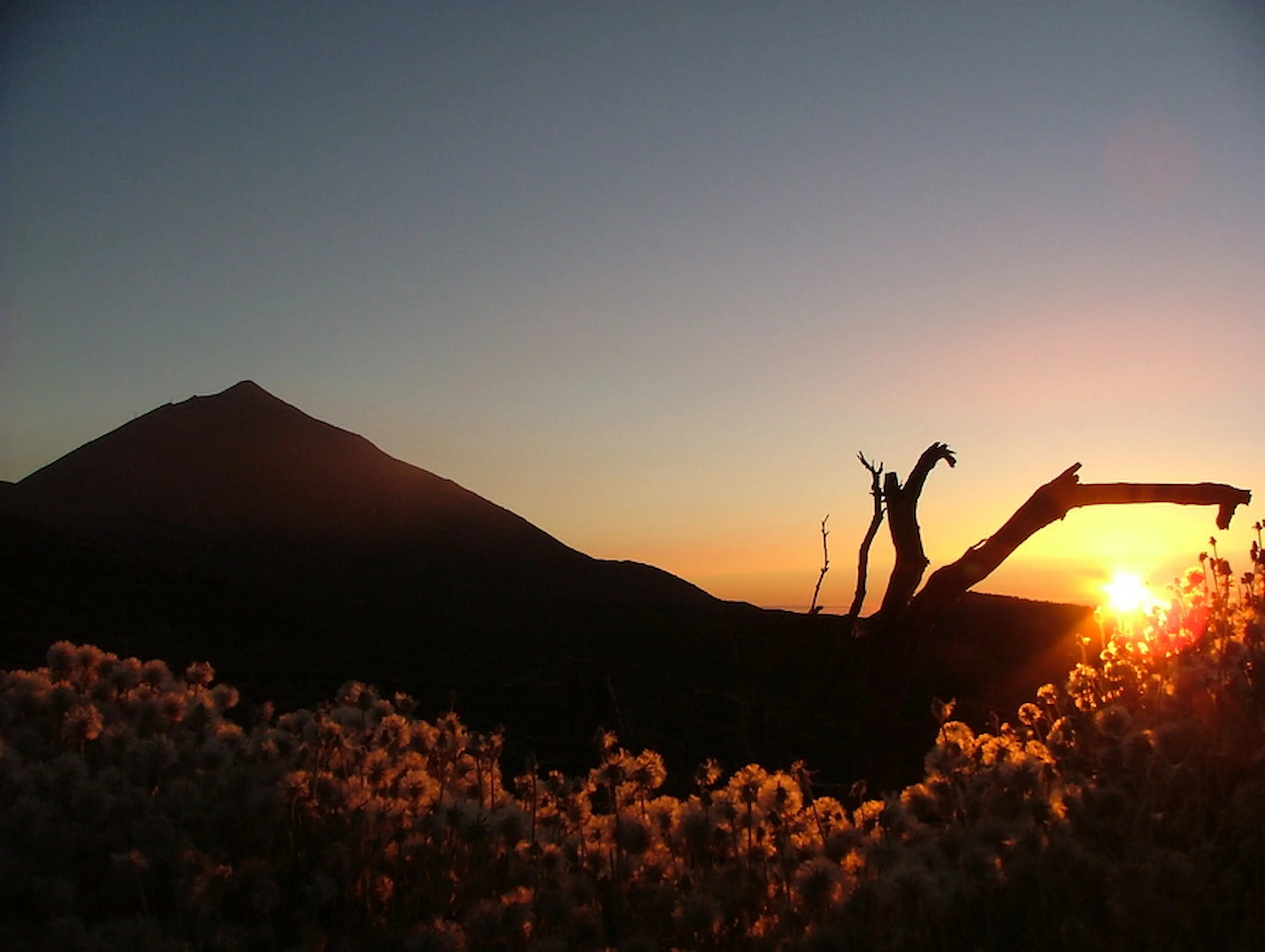 Teide Mágico desde el norte