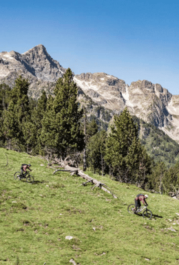 ACTIVITATS DE TARDOR