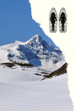 ALQUILER RAQUETAS DE NIEVE