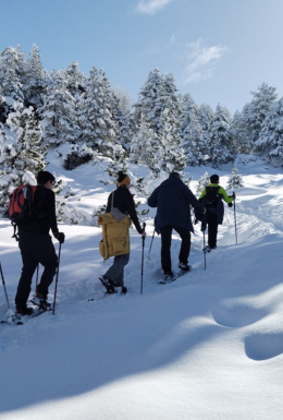 EXCURSIONES EN RAQUETAS DE NIEVE