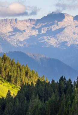 NECESSITES INSPIRACIÓ?