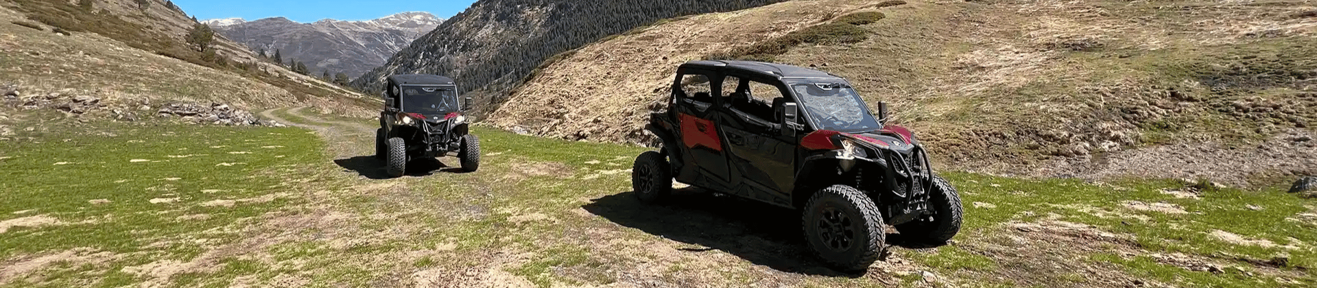   - Routes avec buggy