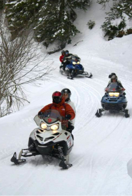 MOTOS DE NIEVE