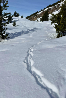 ALQUILER RAQUETAS DE NIEVE