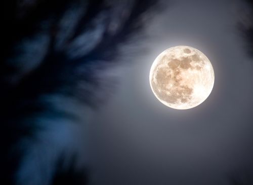 Raquetes de neu a la llum de la lluna