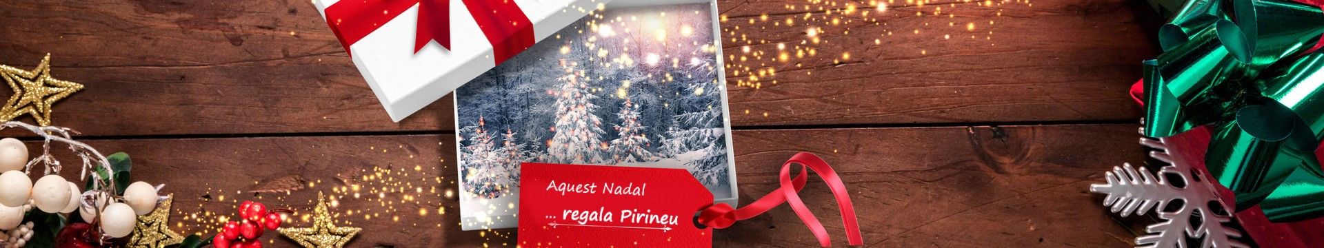 PROPOSTES PER REGALAR