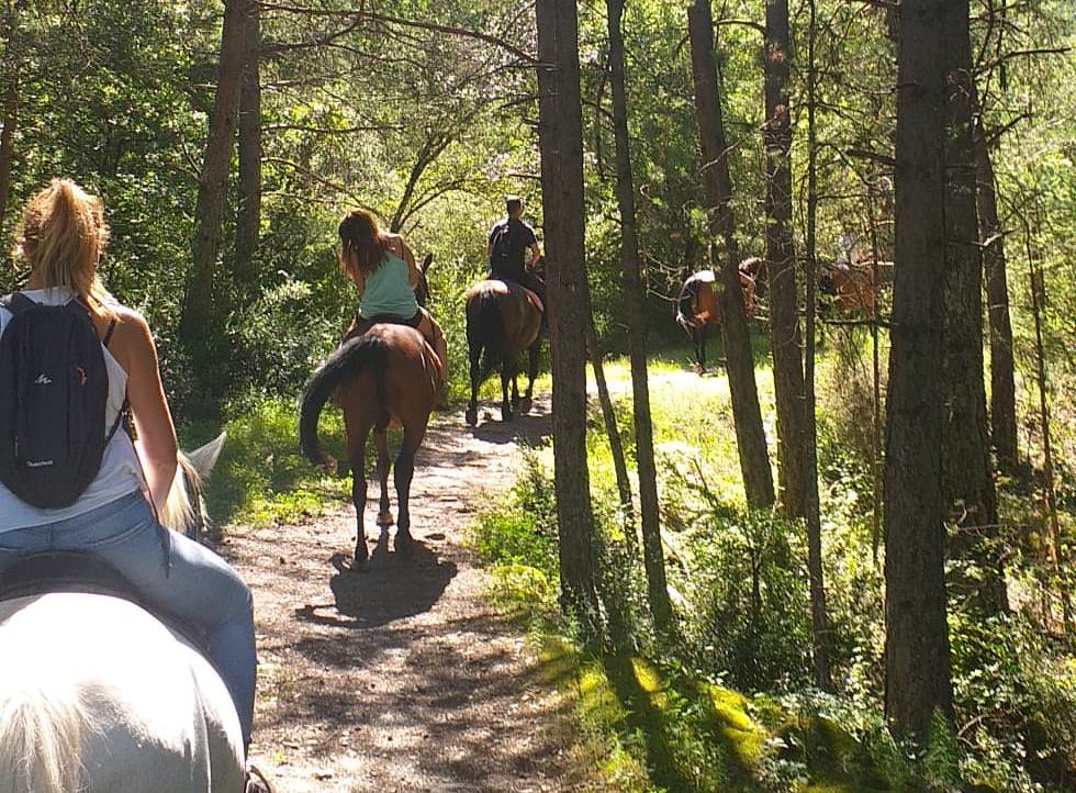 Nature Activities Horse Trip