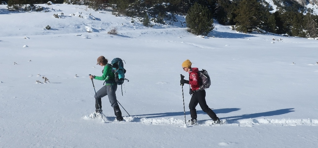 Snow shoes with a guide - full day