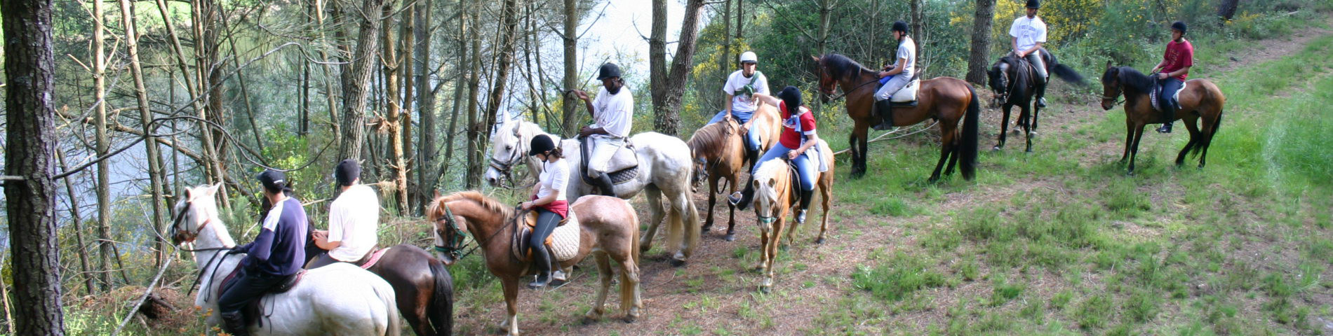 Horse riding, - If you like horses don´t miss it!