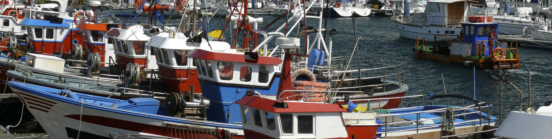 Galicia Auténtica - Nautical Charter, Golf...