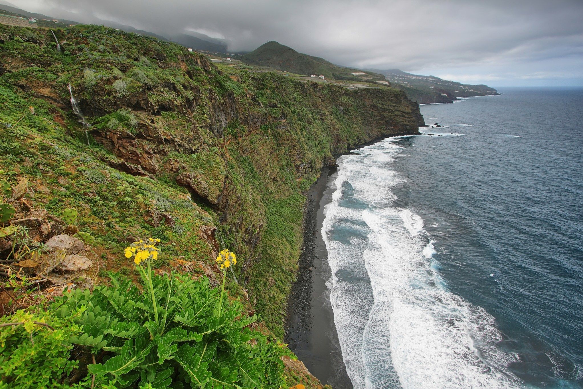 La Palma