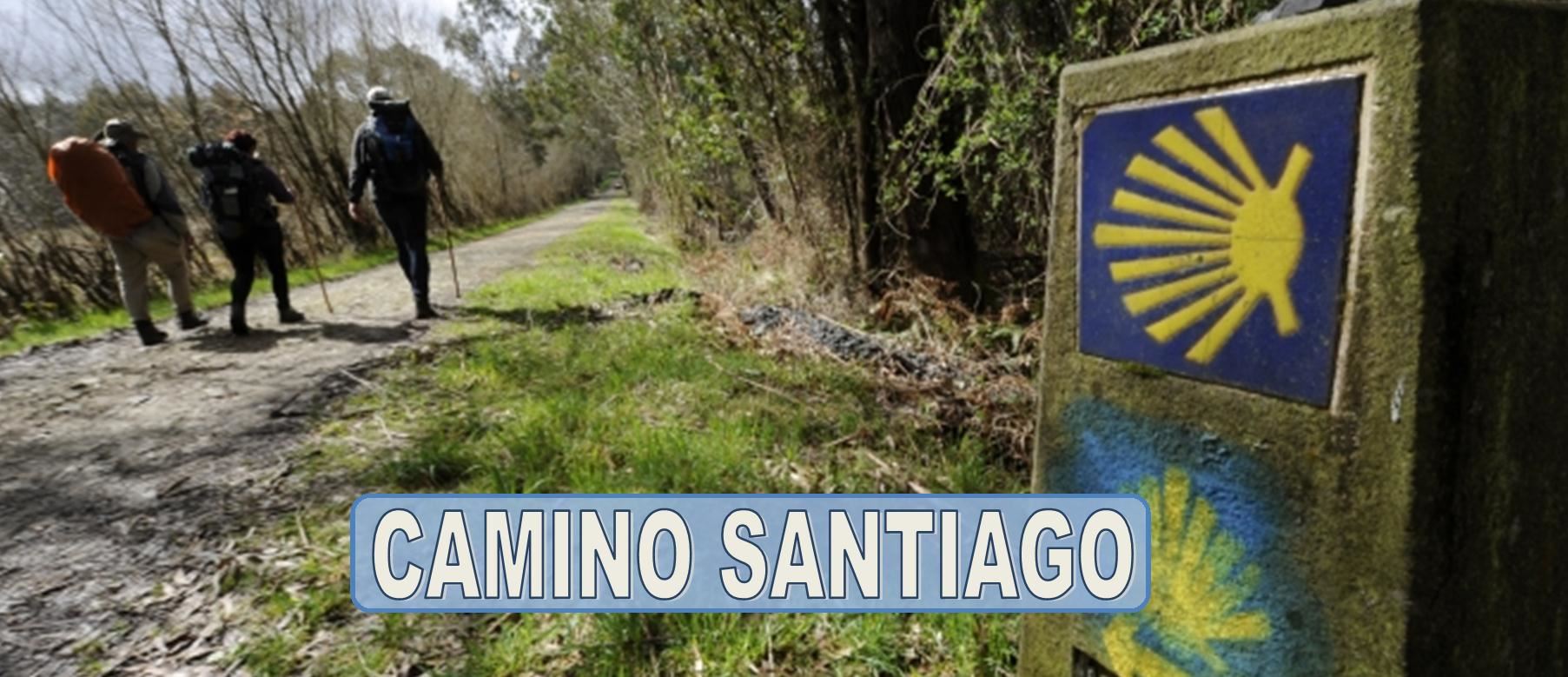 CAMINO DE SANTIAGO - CAMINO DE SANTIAGO ORGANIZADO