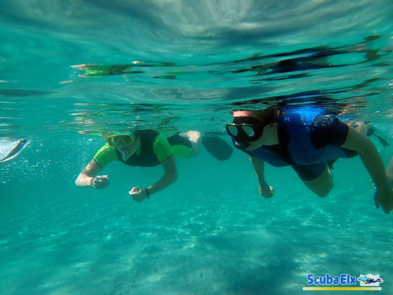 Lo Que El Mar Te Puede Ofrecer Excursión Snorkel En Isla De Tabarca
