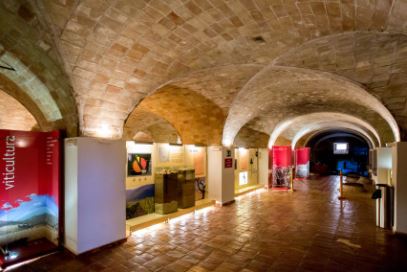 Visita al museo del vino de Bullas
