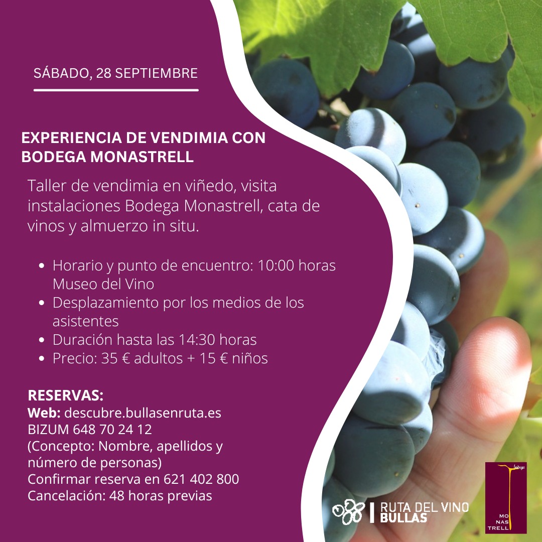 “Experiencia de Vendimia en Bodega Monastrell”