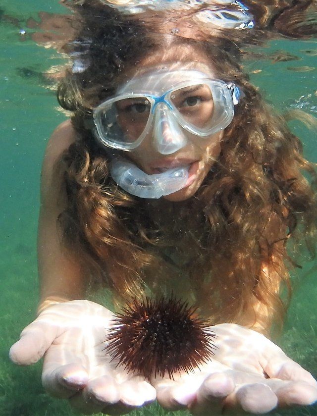 Underwater Exploration and Relaxation on the Costa Cálida