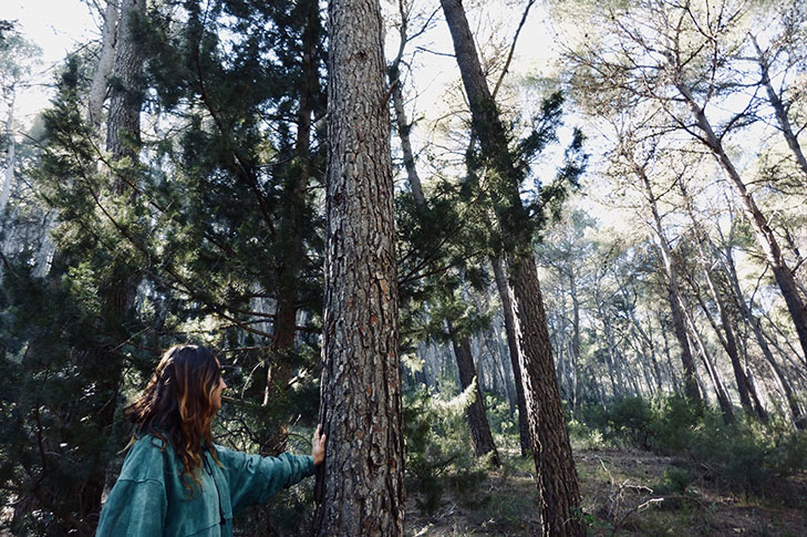 Breathe Nature: Forest Bathing Getaway on the Warm Coast