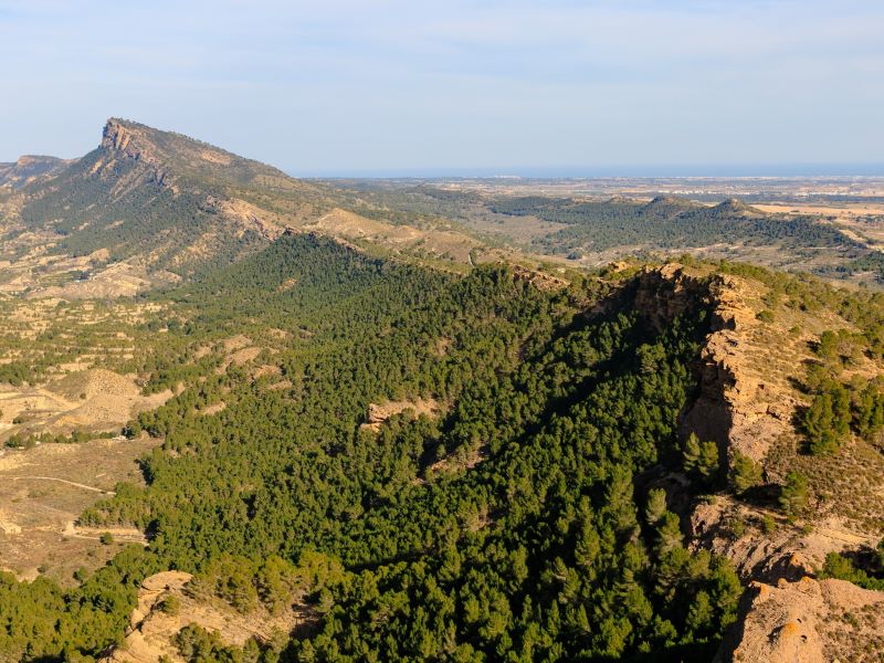 Rutas MTB o Gravel - Maravillas Naturales y Aventura en el Parque Regional El Valle y Carrascoy