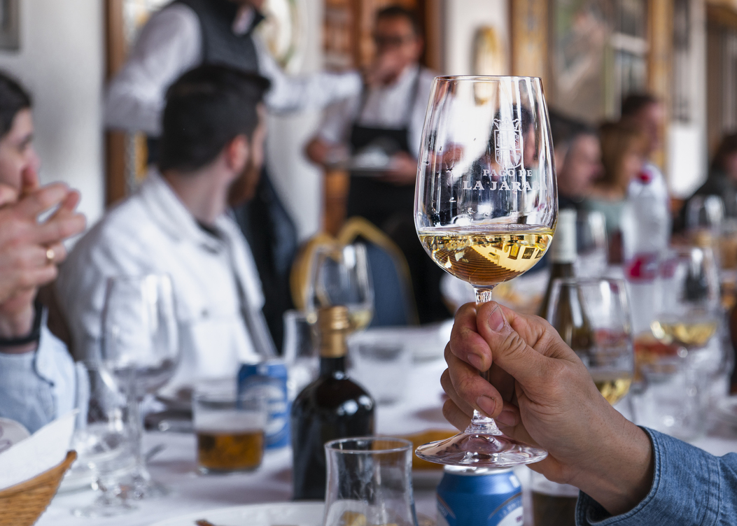 Enoturismo Encanto Del Vino