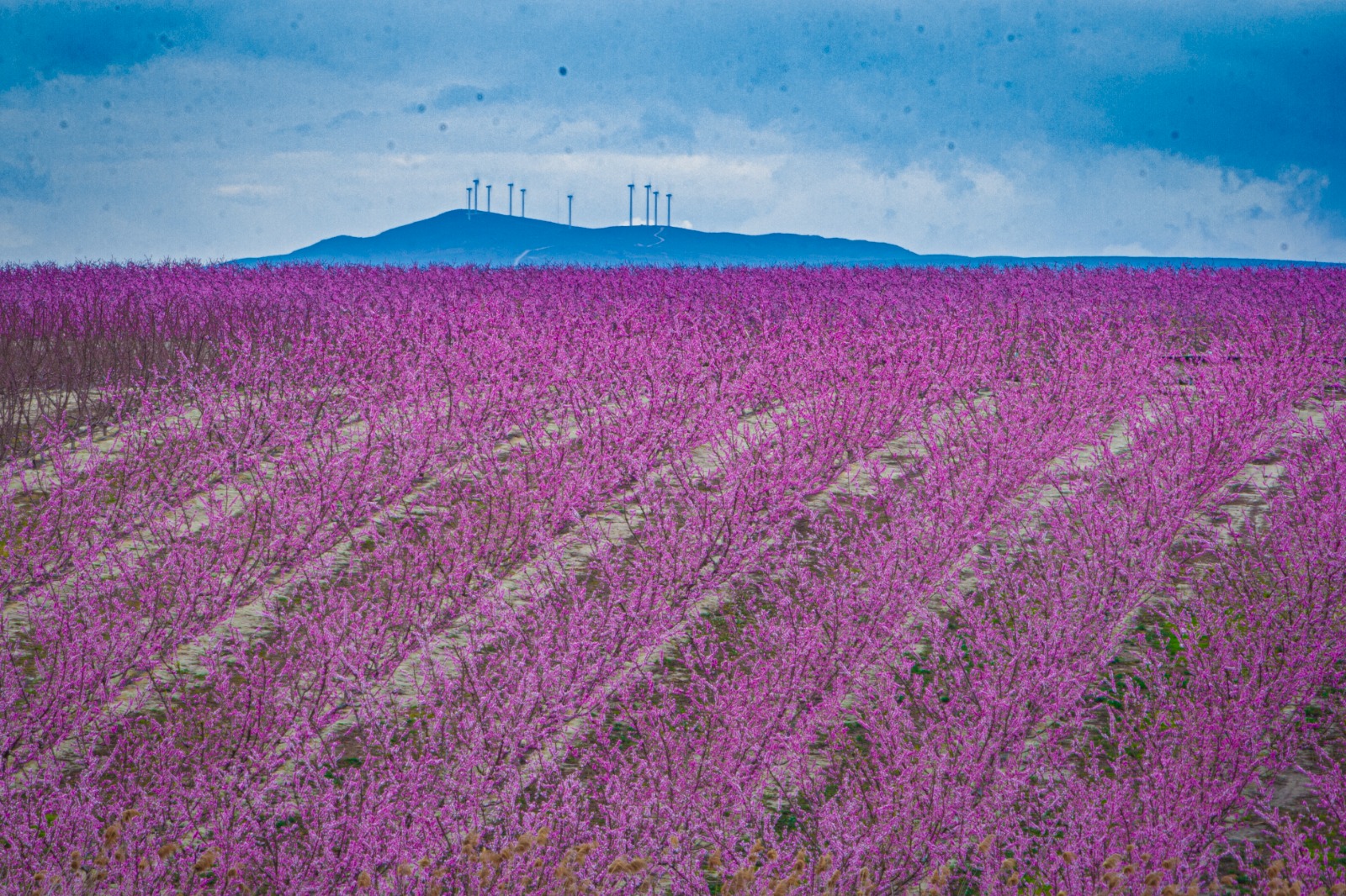Ecotourism Floración De Cieza