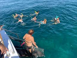 Náutico Y Buceo Excursión Isla Grosa Con Baño