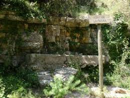 Guided Tours La Font De La Parra