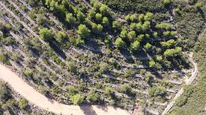 Guided Tours ¡Soldados Al Frente!