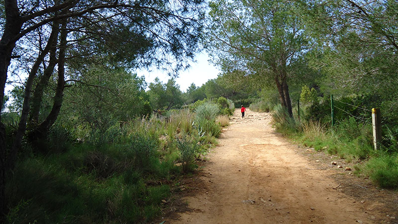 Guided Tours Balas Y Bombas En Tierra De Nadie