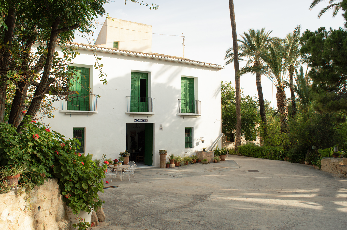 Wine Tourism Visita Bodega Y Almazara Del Siglo Xvii Y Moderna, Grupos