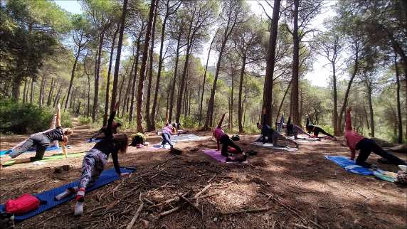 Health And Well-Being Yoga En La Naturaleza