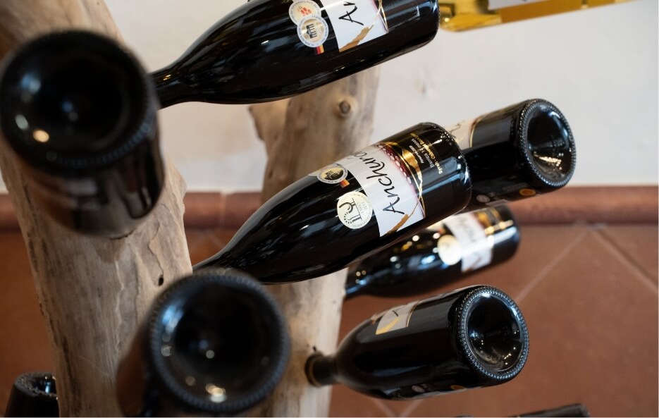 Enoturismo Cata De Vinos Dirigida