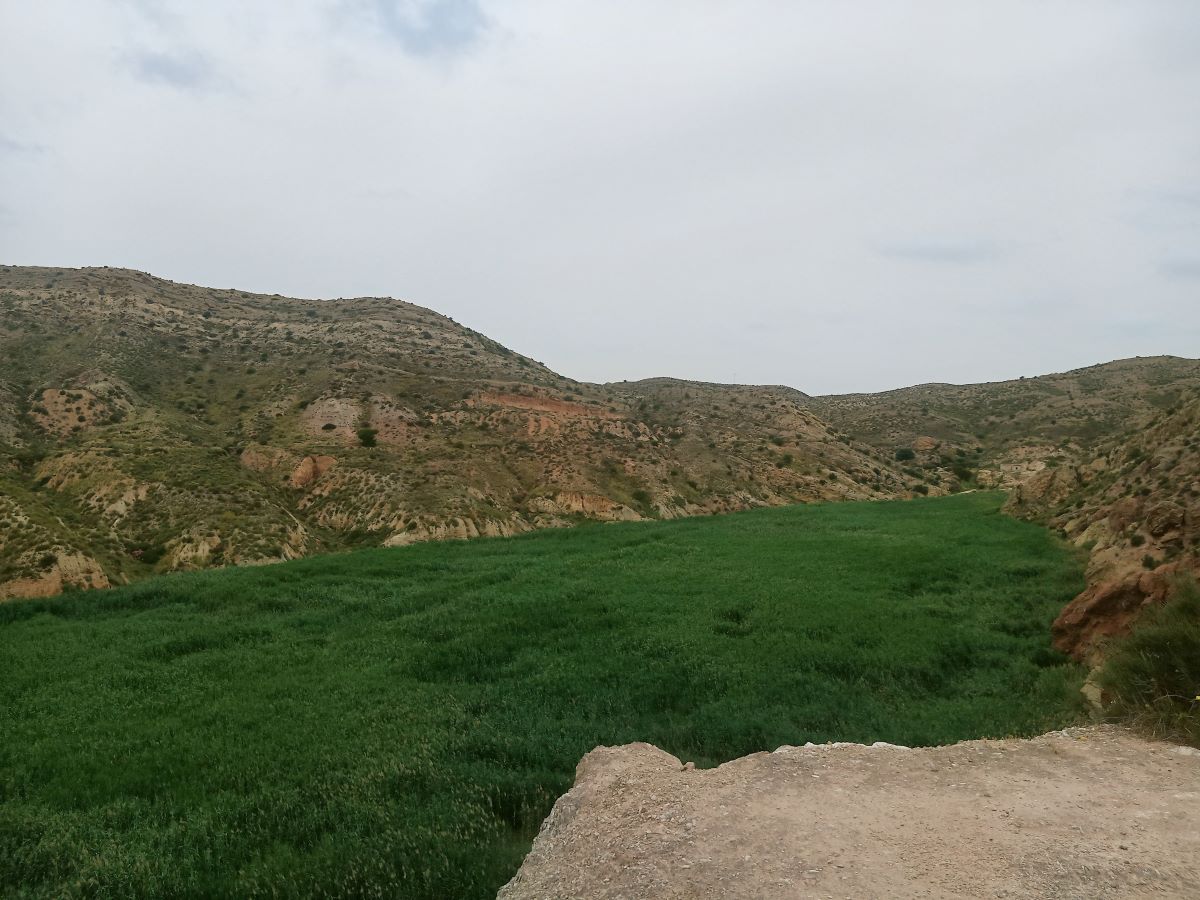 Turismo Activo Más Allá Del Pantano De Elche