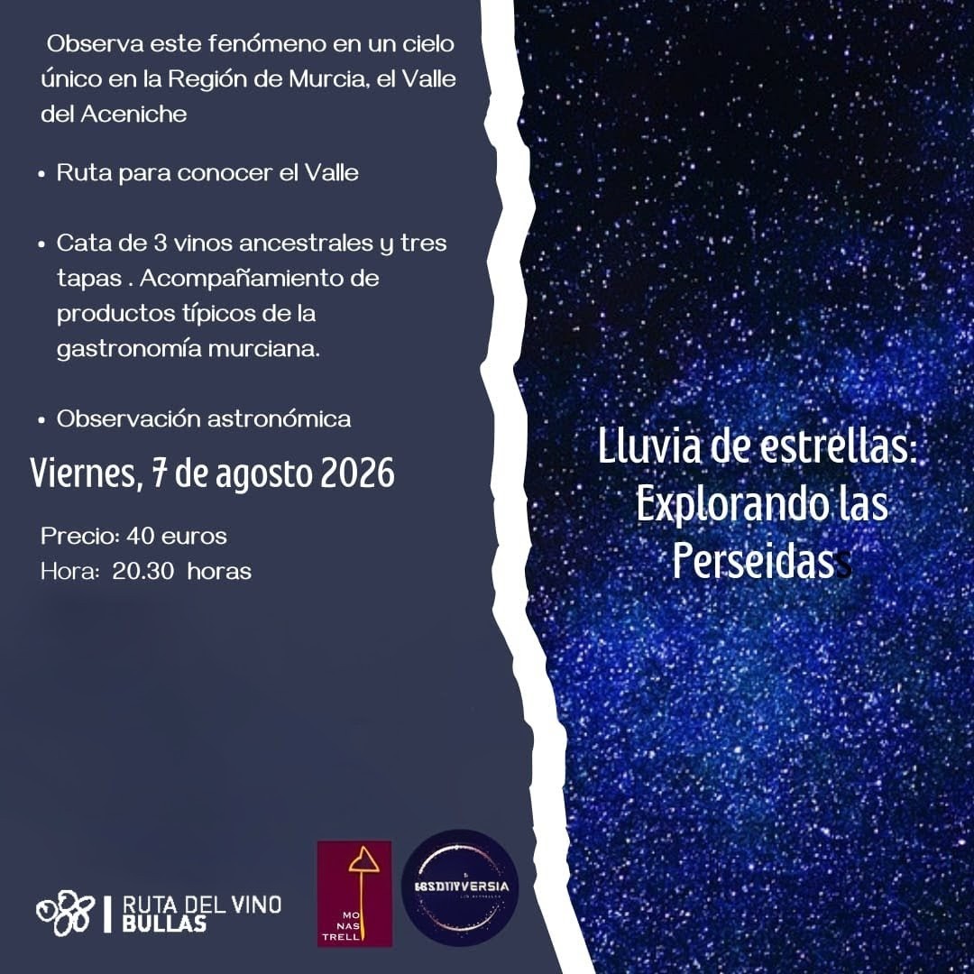 Astronomía Lluvia De Estrellas: Explorando Las Perseidas En El Valle Del Aceniche